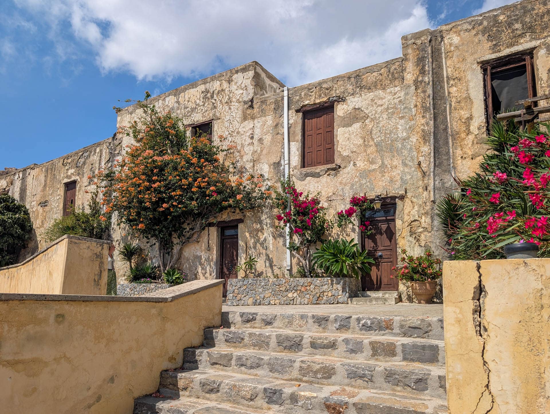 wall with bougainvillea