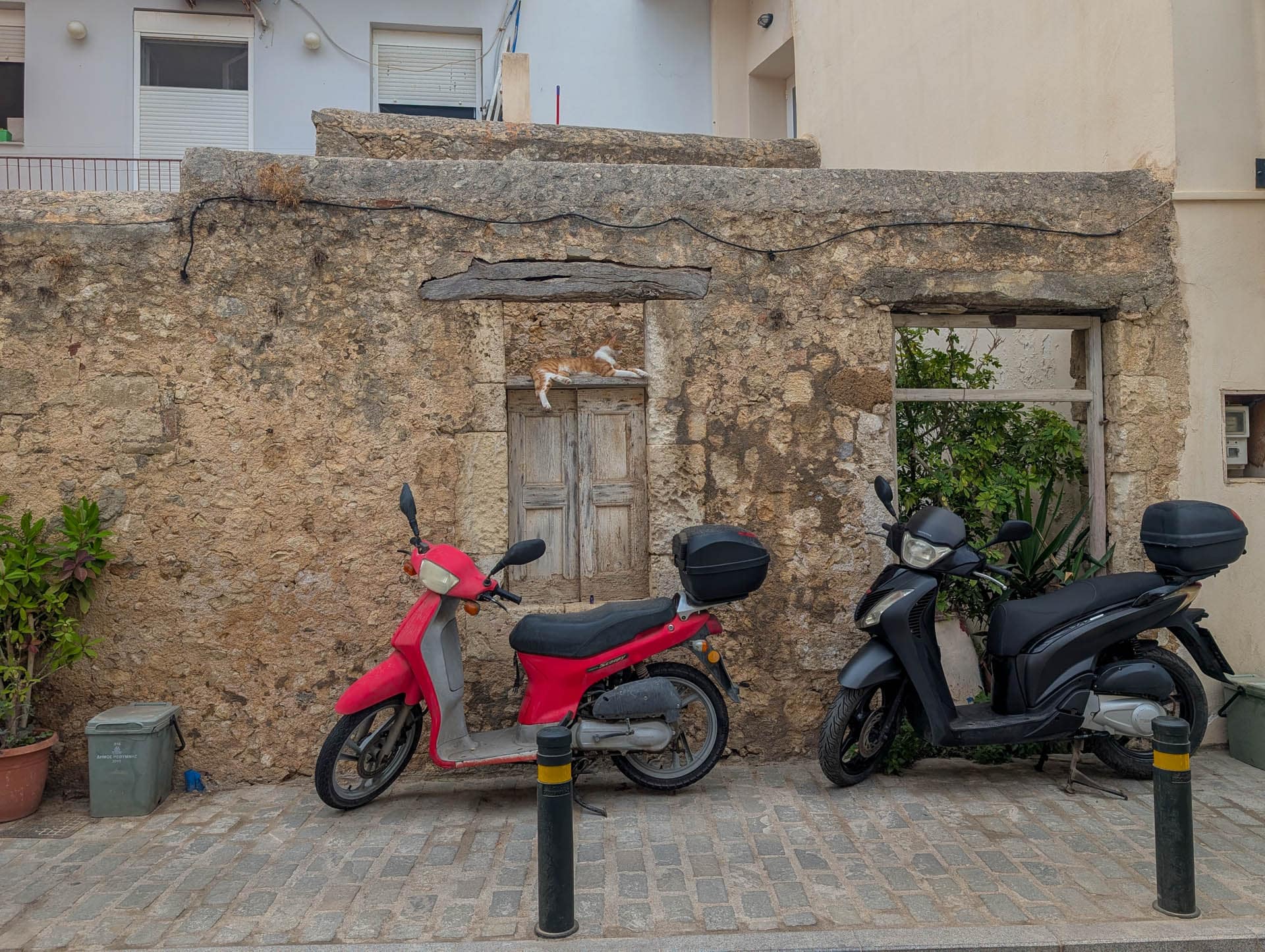 cat in ruined window with moped below