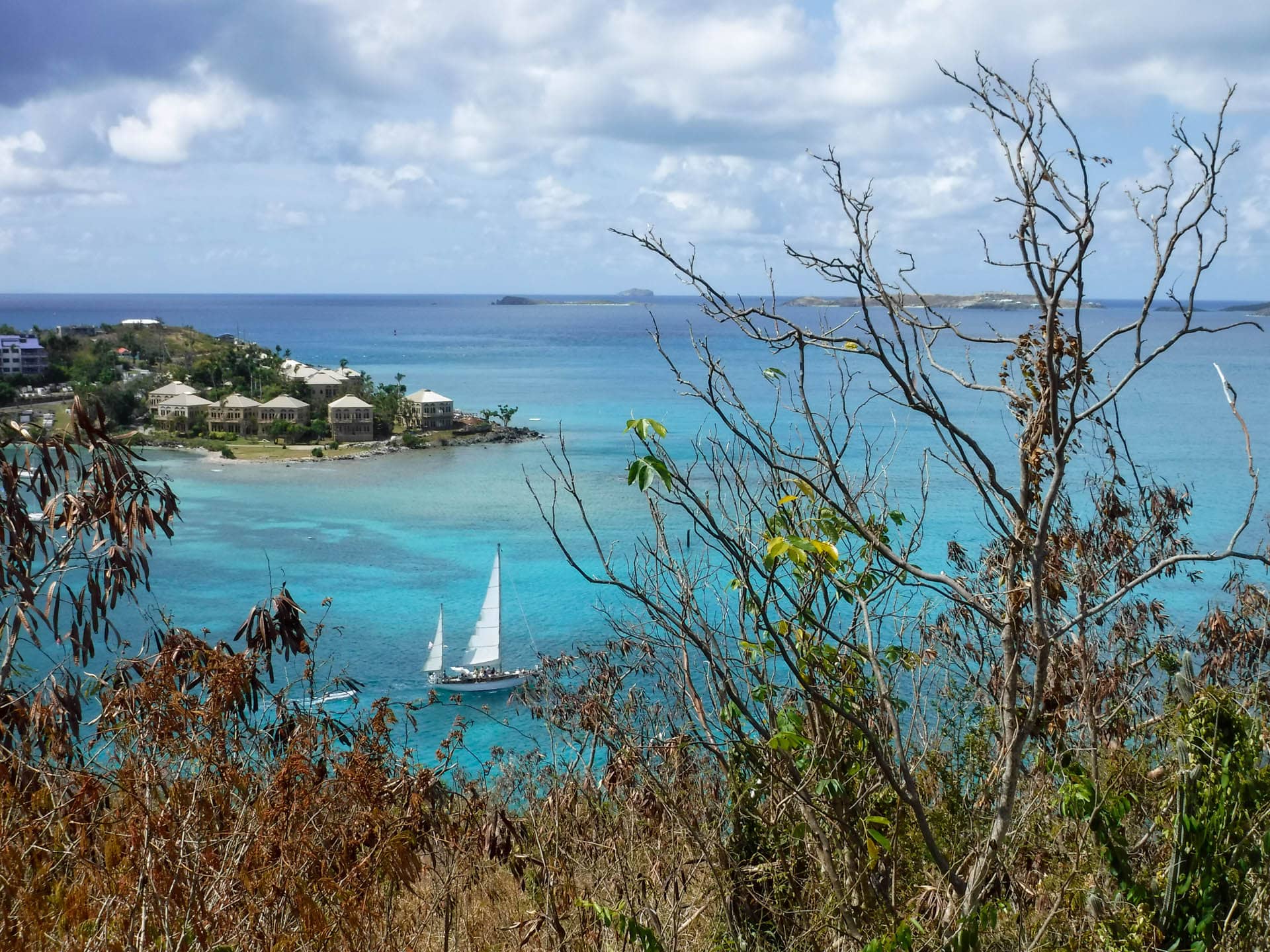 view from Lind Point trail