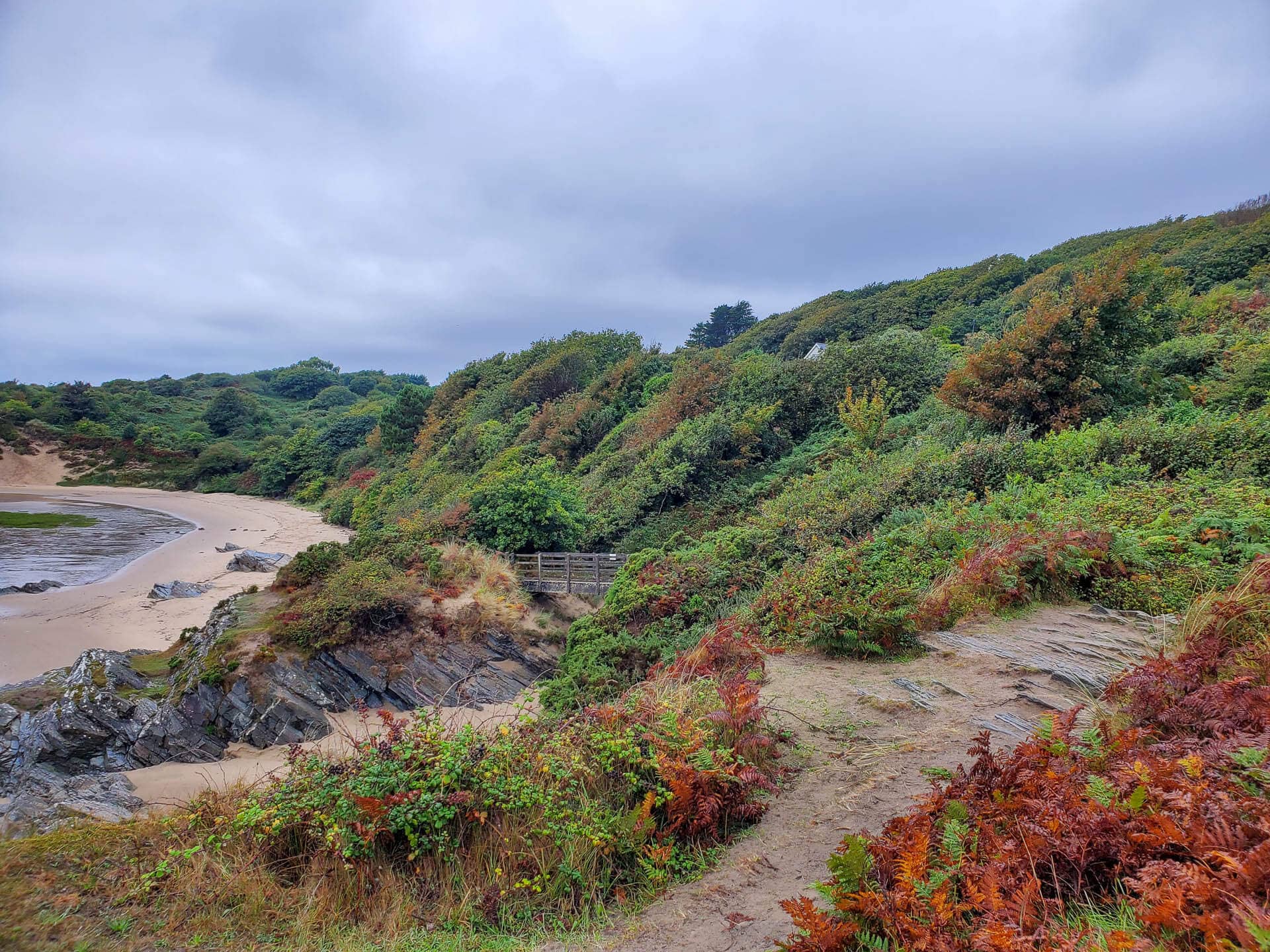 seaside with colorful plants