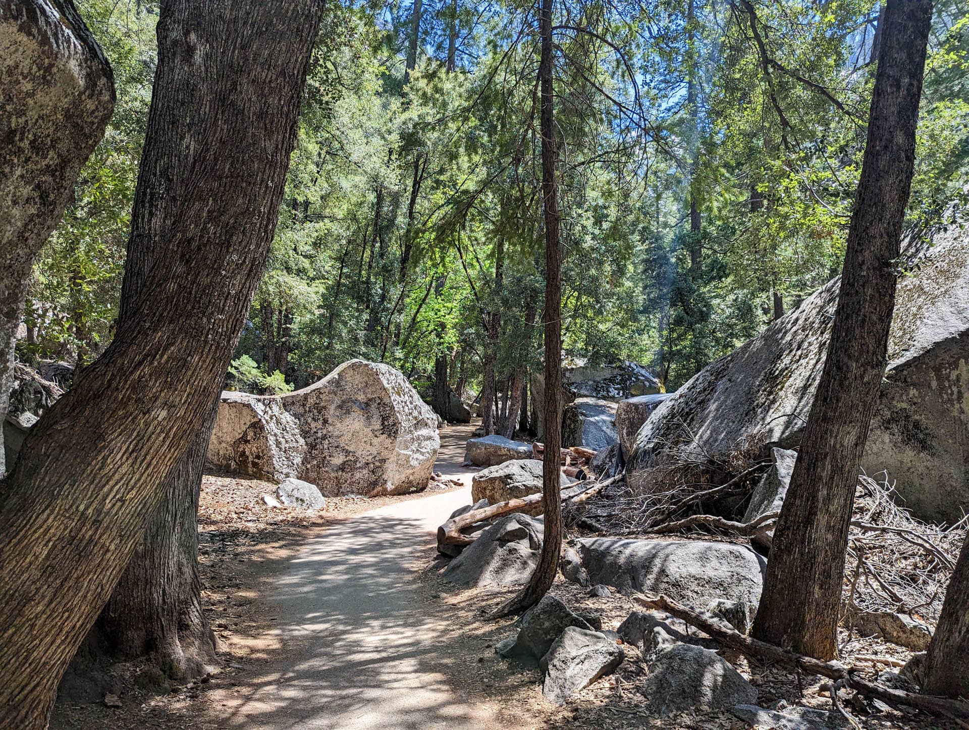 trail with rocks